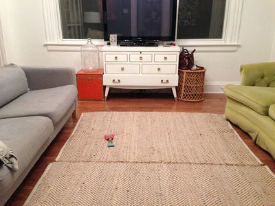 Reasons Behind the Increasing Popularity of Natural Rugs in Home Décor